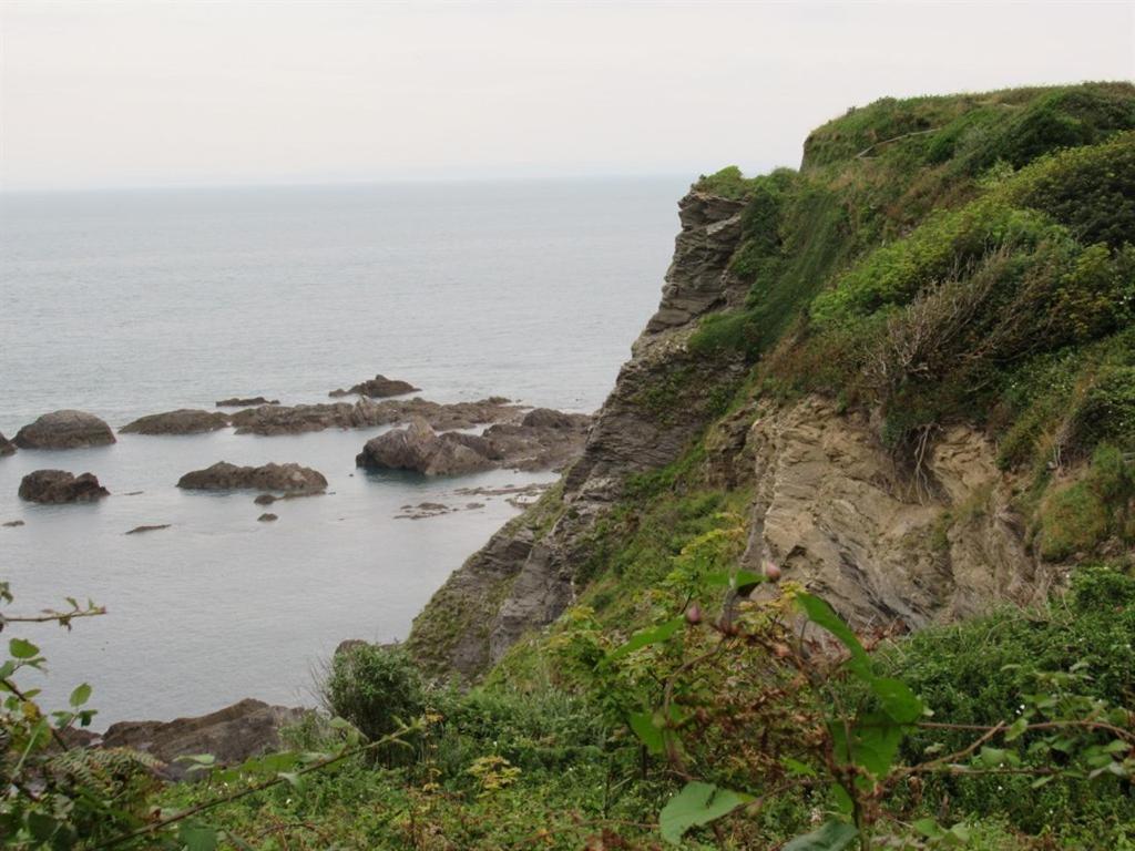 Avoncourt Lodge Ilfracombe Ngoại thất bức ảnh
